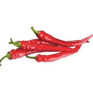 Extrait de fruit de Capsicum (piment)