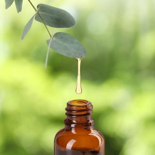 Huile d’Eucalyptus Globulus