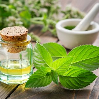 Huile de Mentha Spicata (menthe verte)